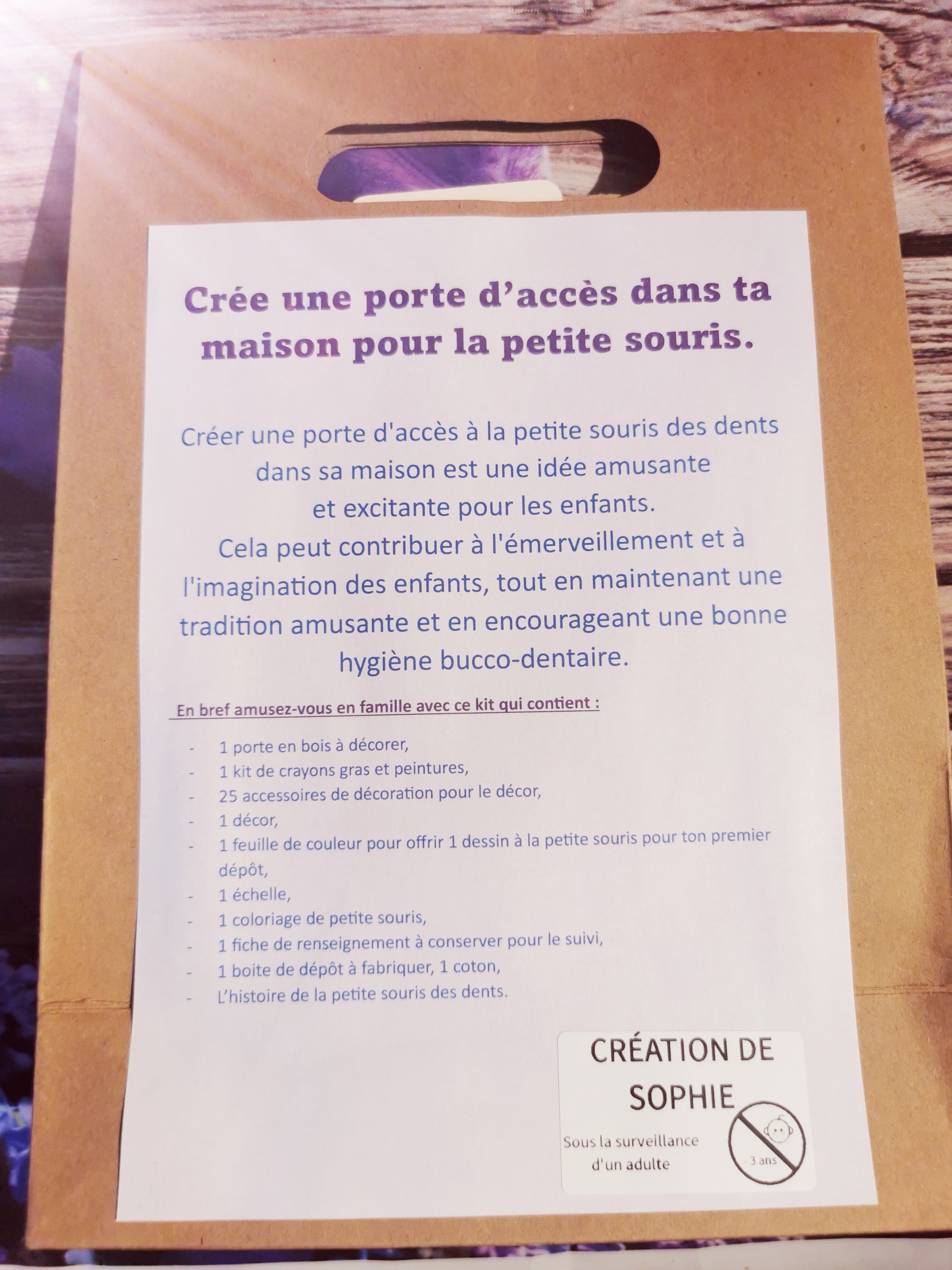 Activité Création porte d'accès à la Petite Souris