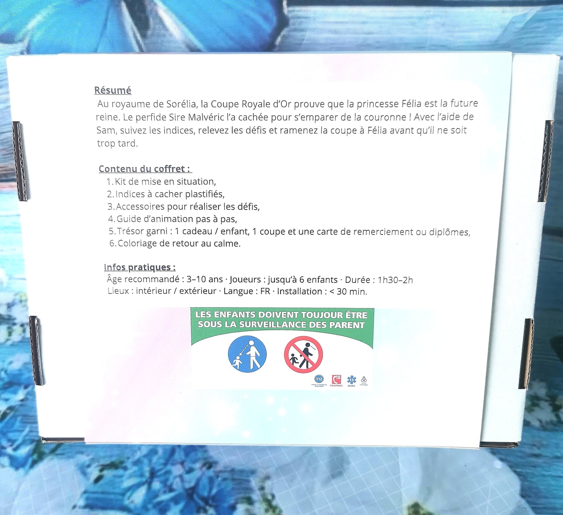 chasse-au-tresor-cle-en-main-theme-princesse-6-enfants face arrière