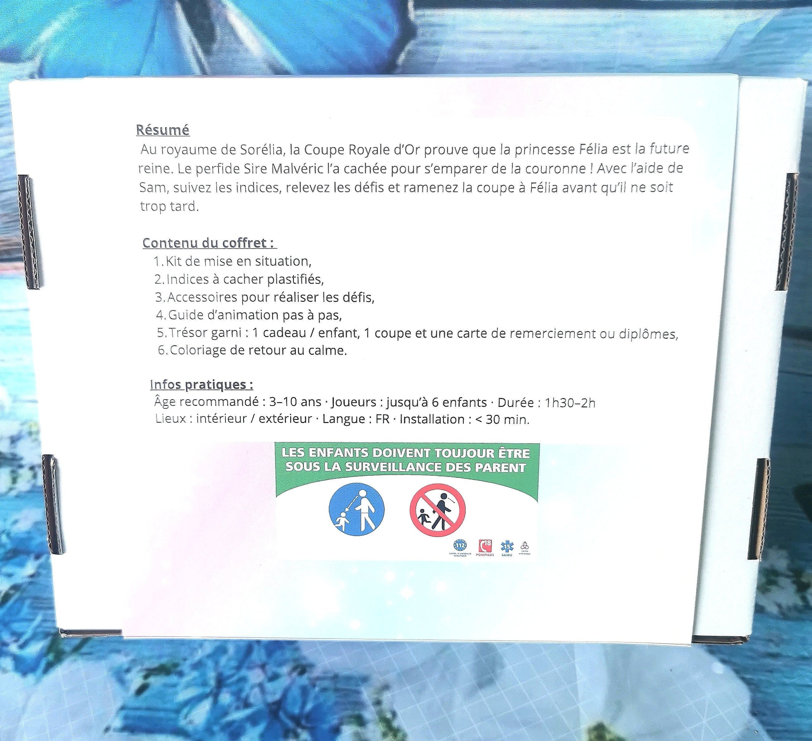 chasse-au-tresor-cle-en-main-theme-princesse-6-enfants face arrière