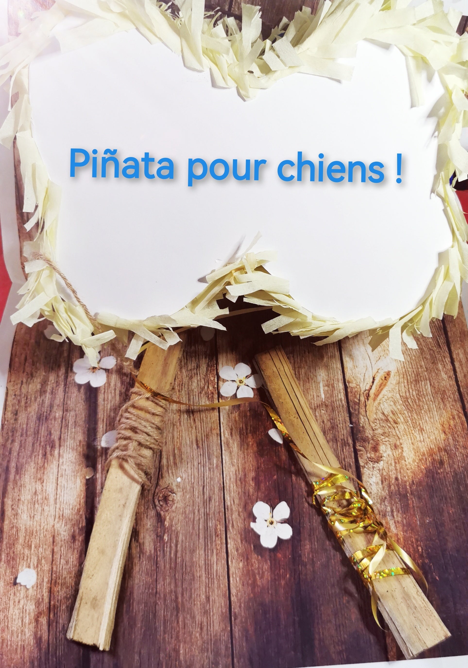 Création de piñata sur mesure 